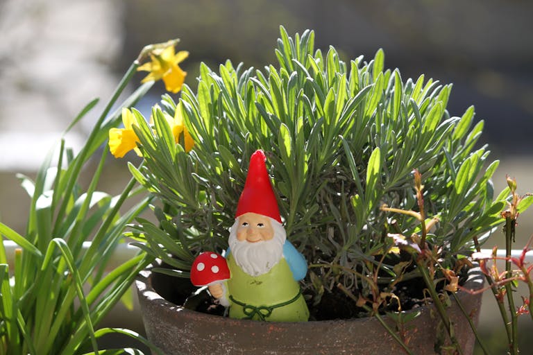 Où acheter un nain de jardin sur mesure ?